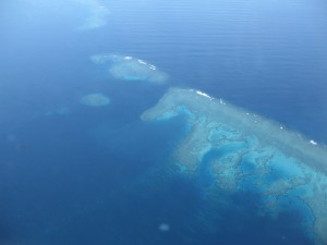 IMG_6598