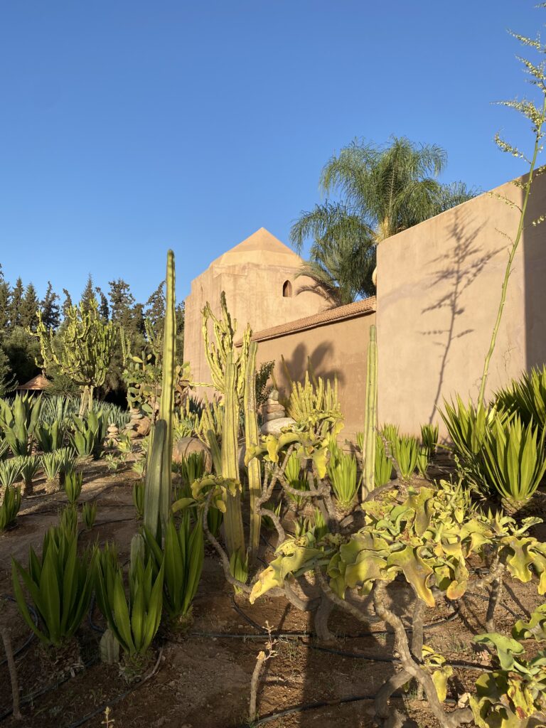 Photo-11-11-2024-08-59-38-768x1024