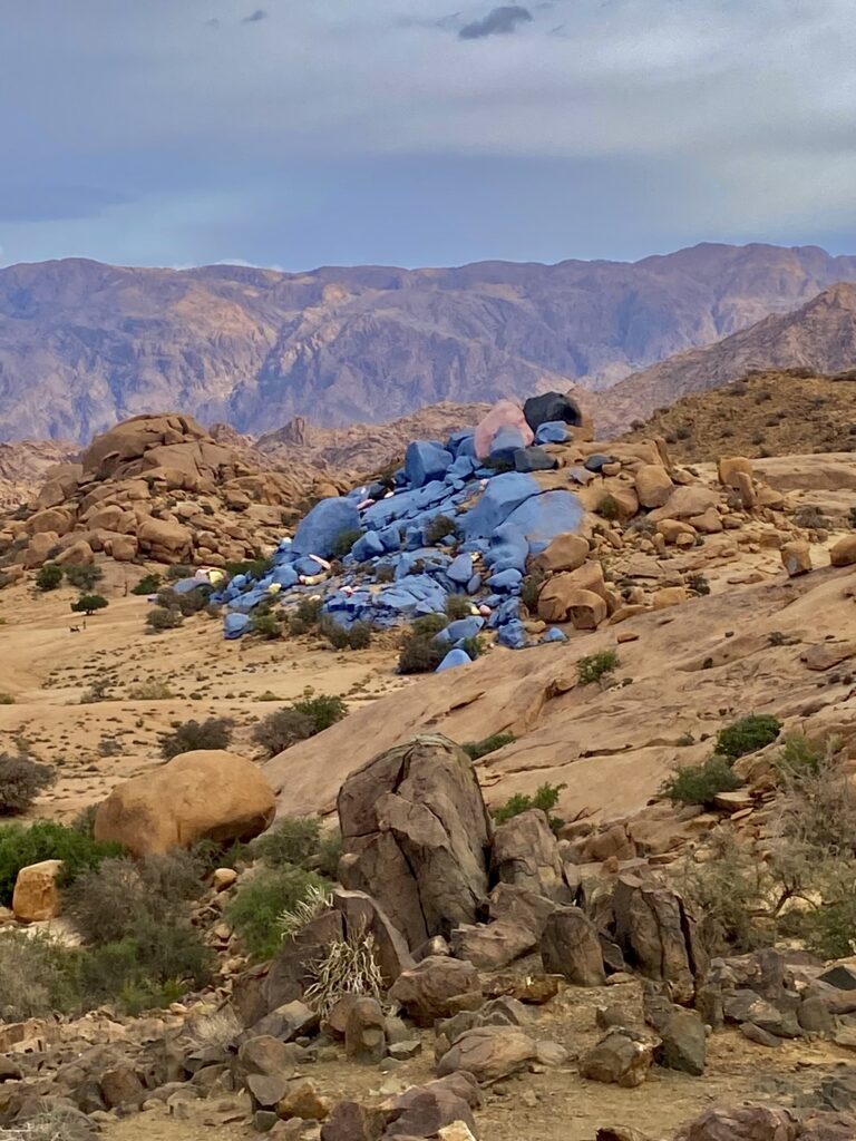 Photo-15-11-2024-10-54-33-768x1024