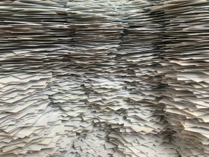 christa-dodoo-485704-unsplash-300x225 christa-dodoo-485704-unsplash-300x225