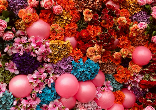 Art & Writing Retreat Yogyakarta image